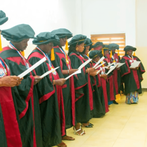 African Institute of Public Health