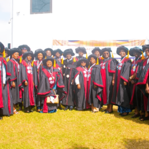 African Institute of Public Health